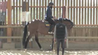 Sébastien Chabal découvre le jumping  Episode 66  JO 2012  Equidia Life [upl. by Newmark338]