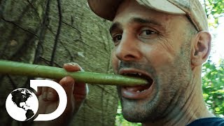 En busca de agua y fruta en los bosques de Panamá  Ed Stafford al extremo  Discovery Latinoamérica [upl. by Irrek90]