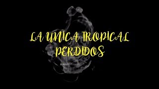 La Unica Tropical Perdidos Letra [upl. by Ahsauqram364]