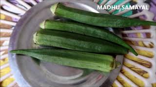 மூலம் பிரச்சனைக்கு தீர்வுEffective Home Remedies Recipes for Piles [upl. by Ayenet]