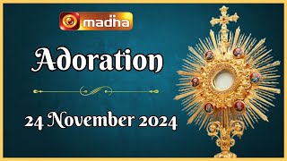 🔴 LIVE 24 November 2024 Adoration 1100 AM  Madha TV [upl. by Barty]