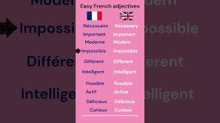 quotEasy French Adjectives for Beginnersquot🇫🇷shorts french [upl. by Cirad386]