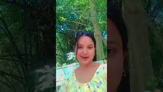 Zubeen Garg💤 bisarisu kakhoroteshortreal viralvideo Tikuvlogs [upl. by Narret90]