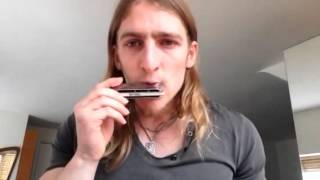 HOW TO PLAY RED DEVILS quotAUTOMATICquot ON HARMONICA LESTER BUTLER [upl. by Gracie236]