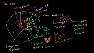 Parts of a cell [upl. by Oremoh]