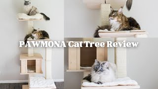 PAWMONA 60quot Cat Tree Review [upl. by Misak]