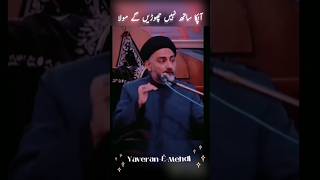 Markaz o Mehwar imam as hen by Allama Nusrat Abbas Bukhari shortsfeed shorts nusratabbasbukhari [upl. by Ferro]