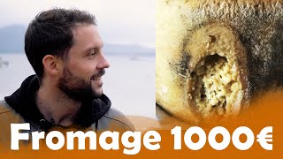 Fromage à 19€ VS 1000€ en Corse [upl. by Barny417]