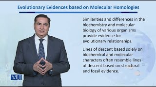 Evolutionary Evidence based on Molecular Homologies  Biodiversity EvolutionII  BT201Topic153 [upl. by Chatav]