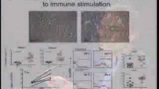 Pathogenesis of Human TCell Leukemia Virus Type I Infections Roles of Viral amp Immune Activation [upl. by Ecnarrot]