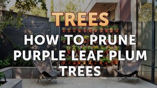 How to Prune Purple Leaf Plum Trees [upl. by Sana669]