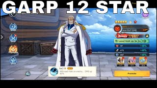 GARP 12 STAR  New World Vigour Voyage  One Piece [upl. by Rosario]