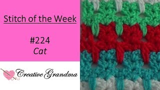 Stitch of the Week 224 Cat Stitch Free Pattern at the end of the video [upl. by Anissa]