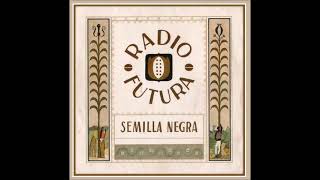 Radio Futura  Semilla Negra Version Maxi 1984 [upl. by Appilihp]