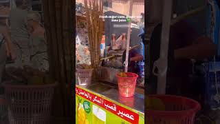 Morocco 🇲🇦 Day Tour Visit Marrakech 2024  travel marrakech streetfood street shorts omg [upl. by Linneman]