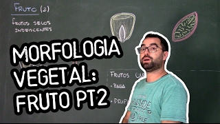 Organologia do Fruto Morfologia pt2  Aula 21 Botânica Prof Guilherme [upl. by Larkin]