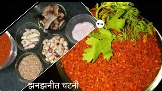 झनझनीत लसुण खोबरे तिळ चटणीLasoon khobare chutney Recipe kalpanahire [upl. by Mungam760]