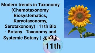 Modern trends in Taxonomy  11th Bio  Botany  Taxonomy and Systemic Botany  தமிழ் [upl. by Bausch]