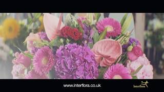 Interflora  The Flower Experts [upl. by Otirecul]