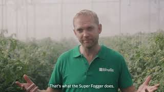 Rivulis Super Fogger Efficient climate control in your greenhouse [upl. by Betteanne]