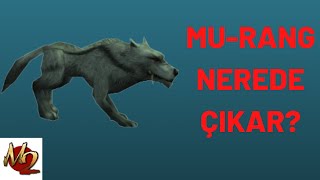 Metin2 MuRang Nerede Çıkar MuRang Mavi Kırmızı ve Sarı Bayrakta Nerede Bulunur MuRang Metin2 [upl. by Isiad198]