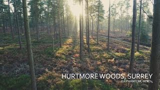 Afternoon flight at the Hurtwood Forest  DJI Phantom 2 GoPro Hero 4 in 4k resolution [upl. by Idel]