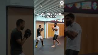 3 Snap Kick Set Ups Tiger Style MMA mma shahkamali shorts [upl. by Ennoirb343]