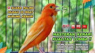 Pancingan Suara Kenari Gacor‼️ Ampuh untuk Masteran Kenari Muda dan Terapi Kenari Macet Bunyi  200 [upl. by Alegnaoj]