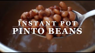 Instant Pot Pinto Beans no soaking needed [upl. by Gnuh]