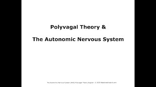 Polyvagal Theory A 5 minute overview [upl. by Viccora]