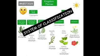 System of Classification  Plant Kingdom  Ncert at your fingertips  All PYQs covered neet2024 [upl. by Marie-Jeanne]