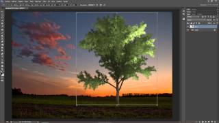 Relleno con motivos  Tutorial Adobe Photoshop CC [upl. by Iur592]