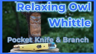 Relaxing Owl Pocket Knife Whittle Dogwood Branch [upl. by Wystand]