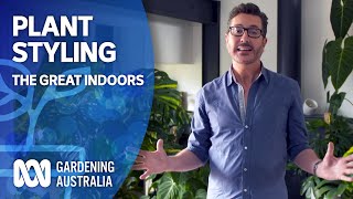 Make indoor plants pop with these style and design tips  The Great Indoors  Gardening Australia [upl. by Haet]