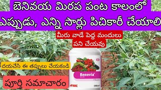 FMC Benevia గురించి పూర్తి సమాచారం దయచేసి రైతులు ఈ తప్పులు చేయకండి మీరు వాడే పెద్ద మందులు పని చేయవు [upl. by Nhguaved667]