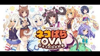 Nekopara OVA Extra  中文字幕   完整版 [upl. by Rebna]