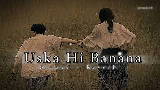 Uska hi banana  Slowed and Reverb Song  lofi lofimusic [upl. by Sean]