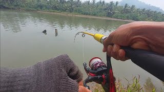 Ini yang terjadi mancing di muara ketemu spot yang seperti ini [upl. by Vanthe]