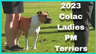 2023 Colac Ladies Show PM  Terriers [upl. by Ketchum679]