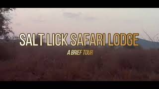 SALT LICK SAFARI LODGE KENYA  A brief tour [upl. by Najram]