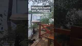 Mangrove forest tourist spot Puducherry shorts tourism [upl. by Slohcin]