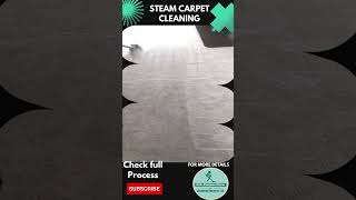 Steam Carpet Cleaning  Summit NJ [upl. by Akselaw]