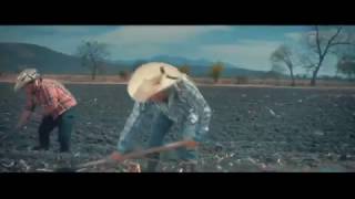 SIN FORTUNA VIDEO OFICIAL — EL PODERÍO DE TUZANTLA 2017 [upl. by Dalis]