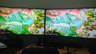 Monitor Gamer AOC 27 2K QHD 155hz x IPS 75Hz AOC [upl. by Nav510]