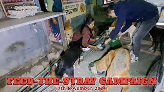 A heartfelt thank you to Mrs Sunita Subba 🙏  RedClayStrays straydogsfeeder [upl. by Mourant]