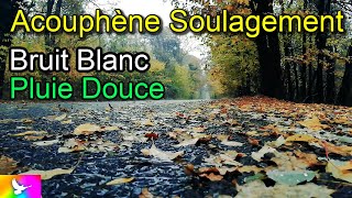 ACOUPHÈNES Soulagement Bruit Blanc Pluie Douce Sons Pluvieux Hyperacousie Oreille Tinnitus Ambience [upl. by Ahsinroc]