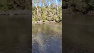 Warrandyte State Park  VIC Australia park lake river camping hike asmr relax outback [upl. by Millar745]