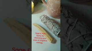 Sage amp Palo Santo Good for cleansingsmudging spiritual sage [upl. by Eira]