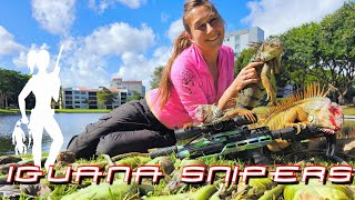 Iguana Snipers takes 24 invasive iguanas with a pellet gun 137 [upl. by Ferneau]