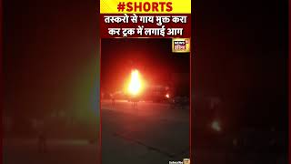 Viral Bhilwara में आक्रोशित भीड़ ने Cow Smugglers से गाय मुक्त करा कर Truck में लगाई आग  shorts [upl. by Eirrej]